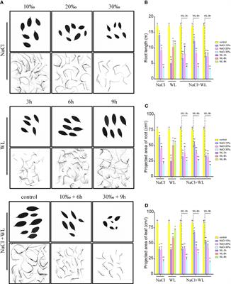 Molecular mechanism of salinity and waterlogging tolerance in mangrove Kandelia obovata